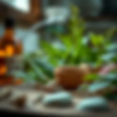 Harnessing Nature's Power Natural ingredients for odor elimination