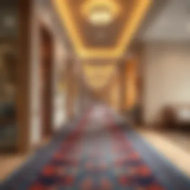 Trendy long corridor carpet selections in various colors