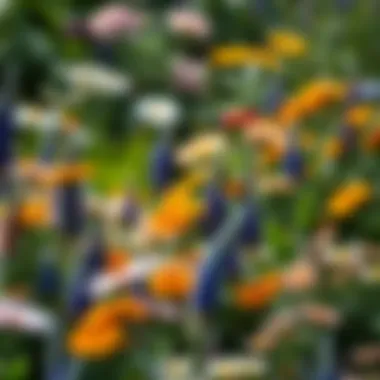 Lush garden with a variety of perennial flowers